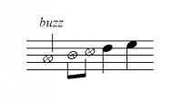 Flute buzzing