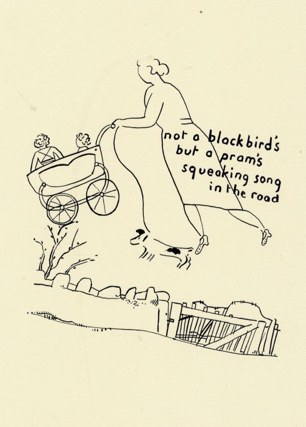 BSW07 not a blackbirds