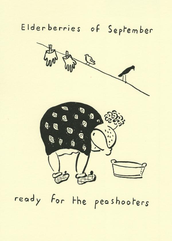 BSW87 Elderberries of September0001